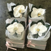 Buttonhole or Boutonnière | Melbourne CBD Flower Delivery