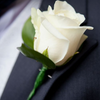 Buttonhole or Boutonnière | Melbourne CBD Flower Delivery