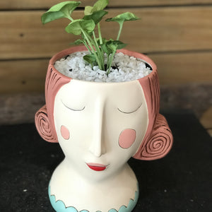 Ceramic Animal Planter – Succulent Holder | Unique Designs for Home Decor