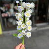 Handmade Crochet Flowers – Perfect Gift for Women | Same Day Delivery in Melbourne