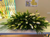 Orchid in Clear Glass Vase | Same-Day Delivery in Melbourne