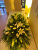 Orchid in Clear Glass Vase | Same-Day Delivery in Melbourne