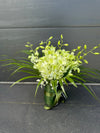 Premium Orchid in a Vase | Same-Day Delivery in Melbourne