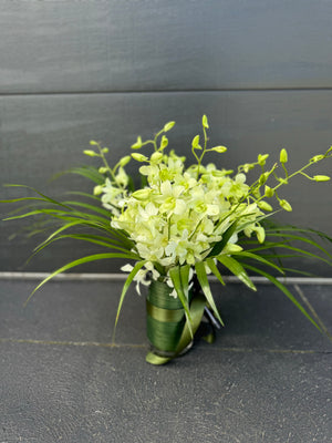 Premium Orchid in a Vase | Same-Day Delivery in Melbourne