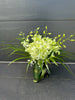 Premium Orchid in a Vase | Same-Day Delivery in Melbourne